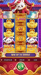 kc9 · Fortune Rabbit